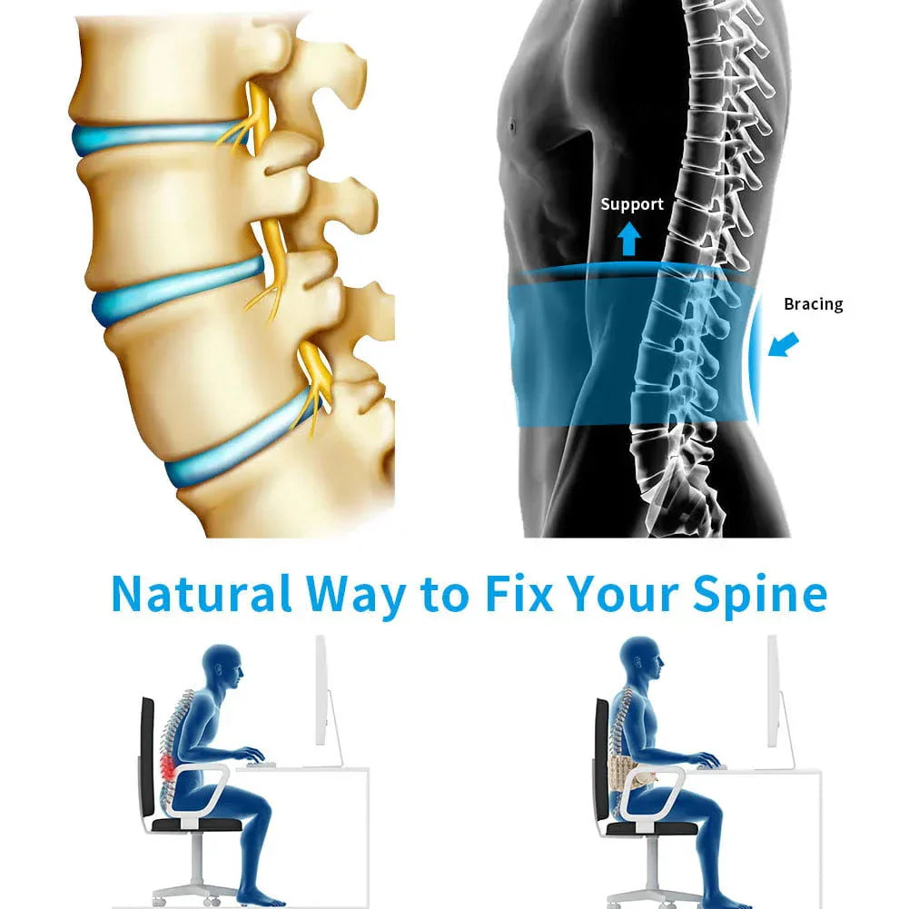 Comphyo LumbarSupport - Comfortabele Rugondersteuning